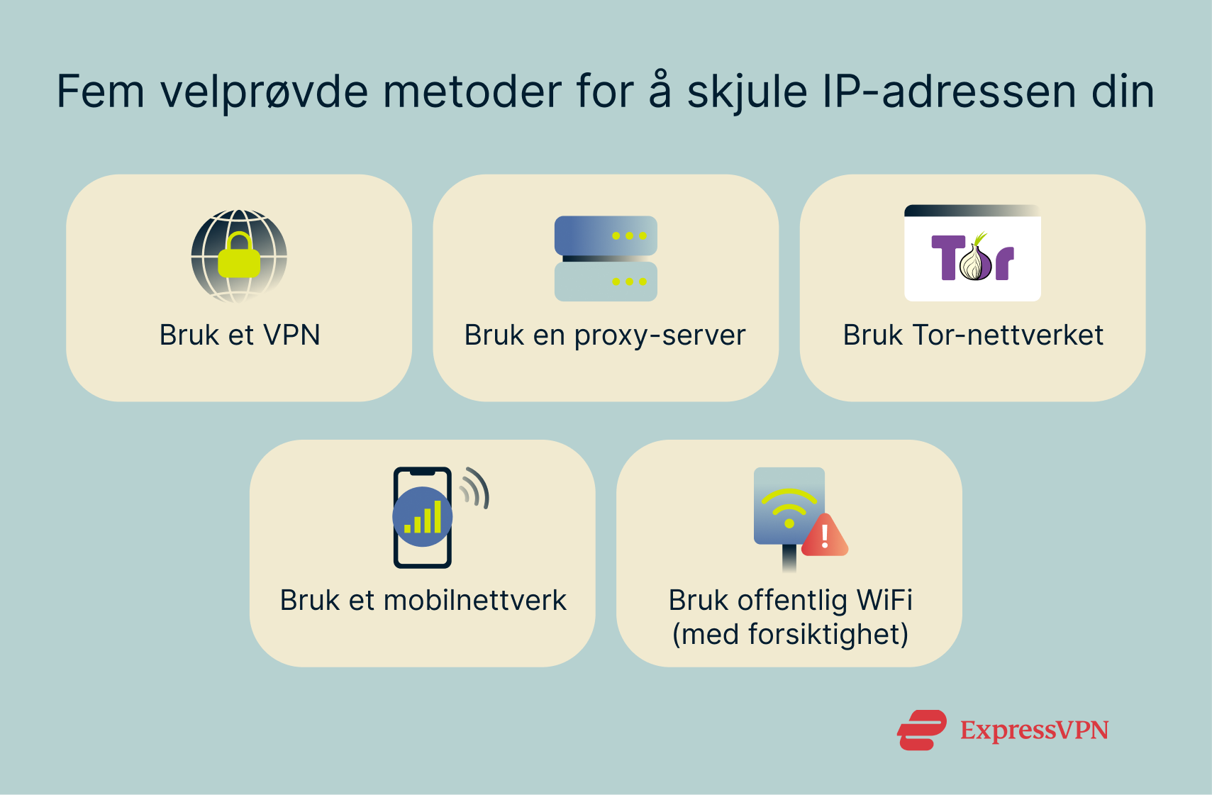 The various methods of hiding an IP address.