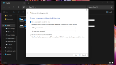 BitLocker screen for setting an encryption password.