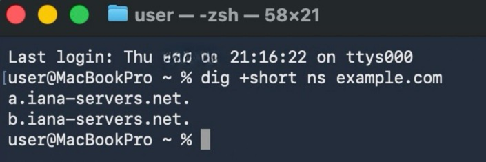 A macOS terminal page showing the input for pulling information a domain's nameservers.